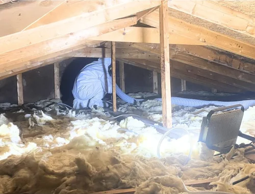 Environmentally-Friendly-Attic-Insulation-Options-in-Normal-Illinois-e1684256529163