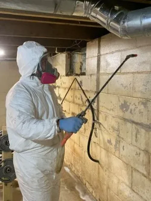 Expert-Mold-Remediation-Services-Healthy-Homes-in-Bloomington-and-Peoria-Illinois
