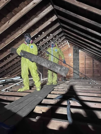 Healthy-Homes-Mold-Remediation-Experts-in-Colfax-IL