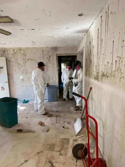 Mold-Remediation-Services-in-Towanda-Illinois-Healthy-Homes-scaled