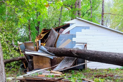 tree-falling-destroying-shed-in-a-rural-area-healthy-homes